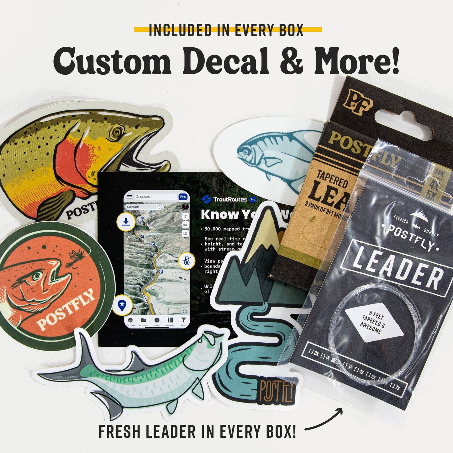 Warmwater Fly Assortment Box